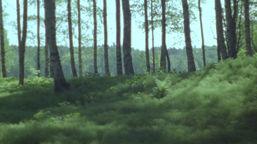 Sokeiden_unet