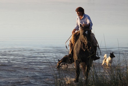 gaucho